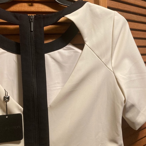 Marisa Kenson Collection Tiffany Ivory & Black Short Sleeve Dress - Picture 11 of 16